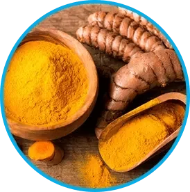 Turmeric root and turmeric powder shown for the Venus Factor ingredient section